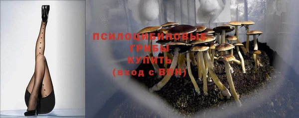 Альфа ПВП Белокуриха