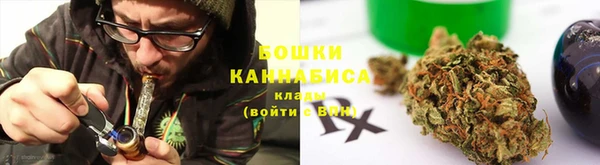 Альфа ПВП Белокуриха