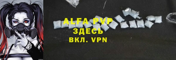 Альфа ПВП Белокуриха