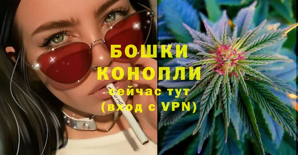 Альфа ПВП Белокуриха