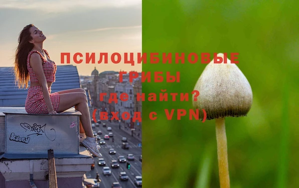 ПСИЛОЦИБИНОВЫЕ ГРИБЫ Белоозёрский